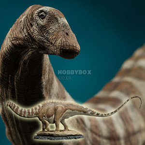 (입고) 아파토사우르스(Apatosaurus) Statue / 공룡류(Dinosauria)